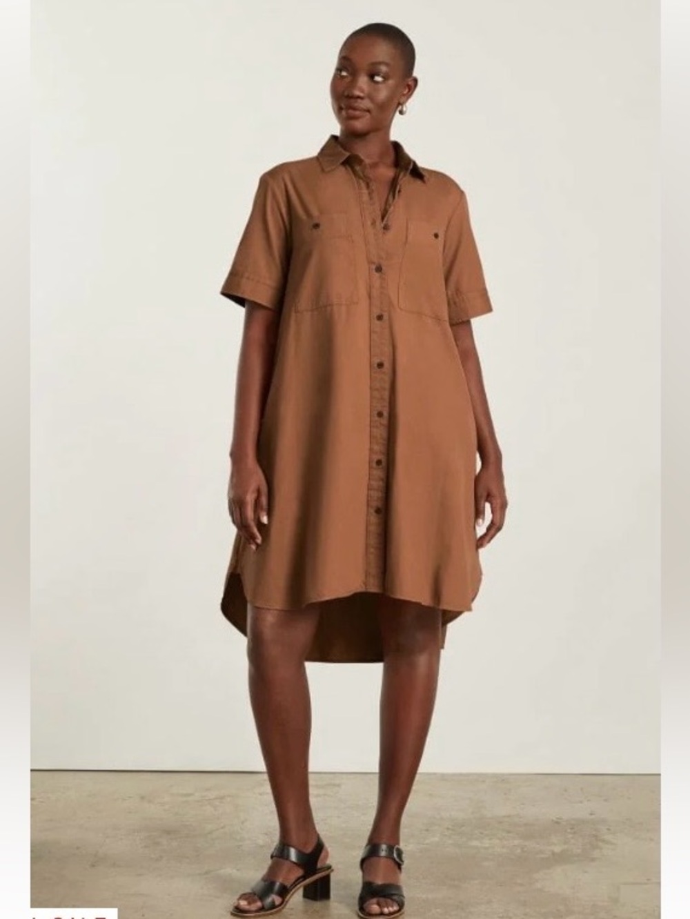 Everlane Daytripper Shirt Dress in Tawny Brown